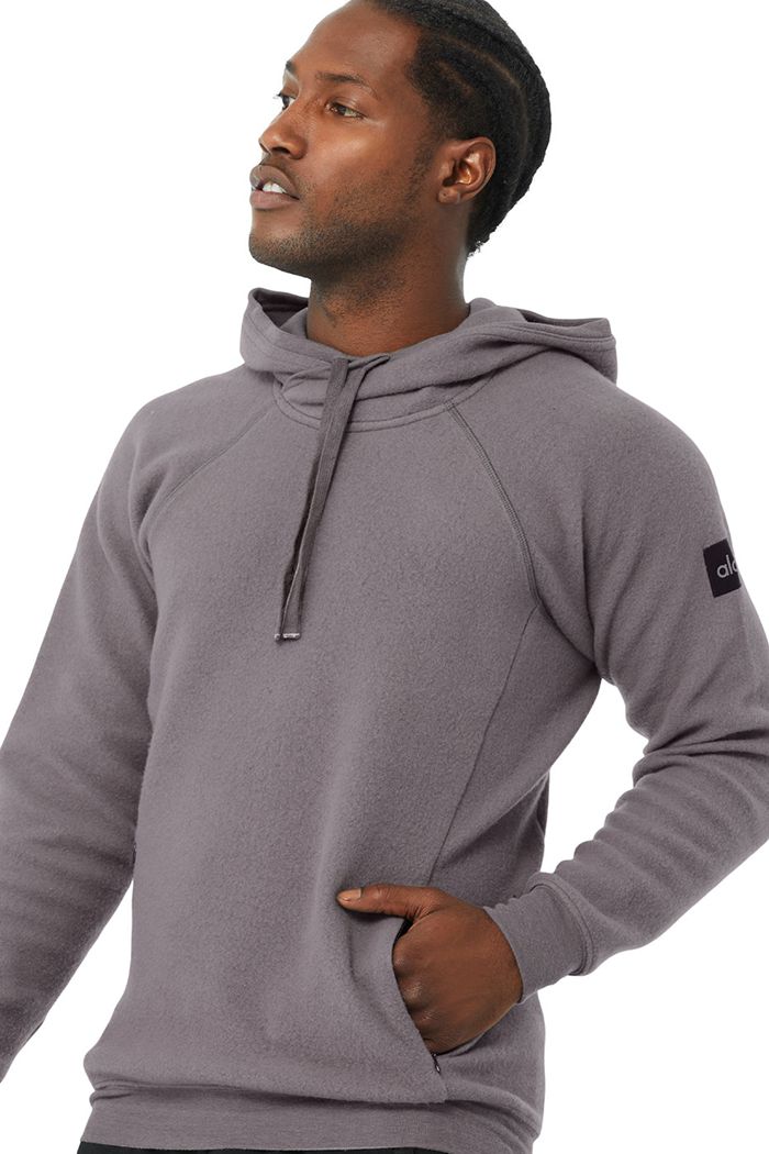 Alo Yoga The Triumph Men's Hoodie Purple | 34NJQBKPZ