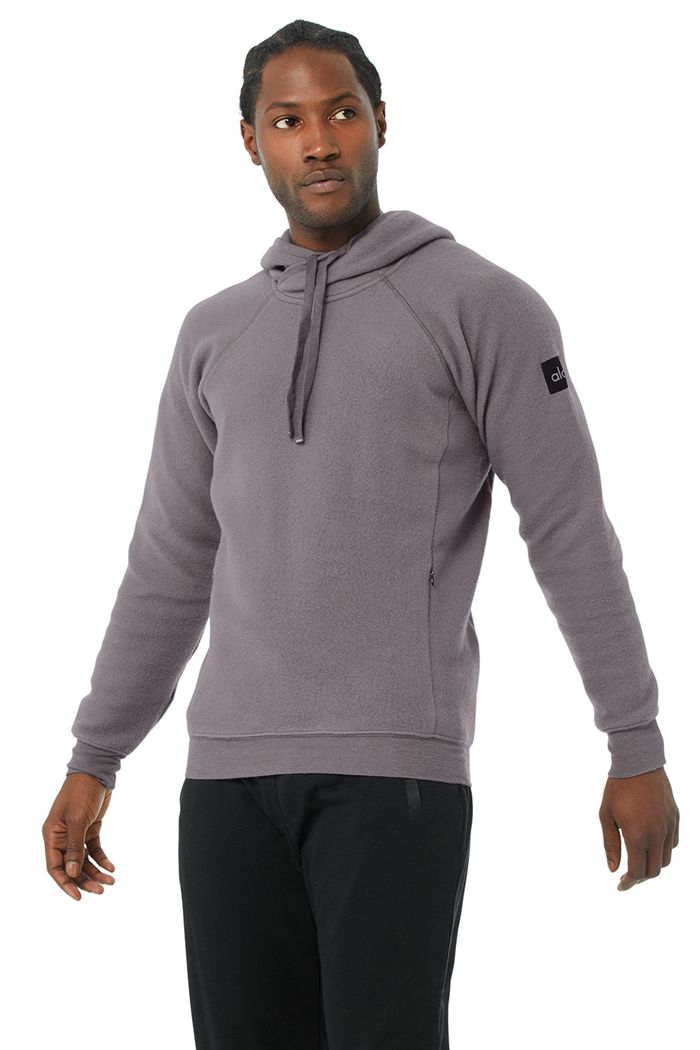 Alo Yoga The Triumph Men\'s Hoodie Purple | 34NJQBKPZ