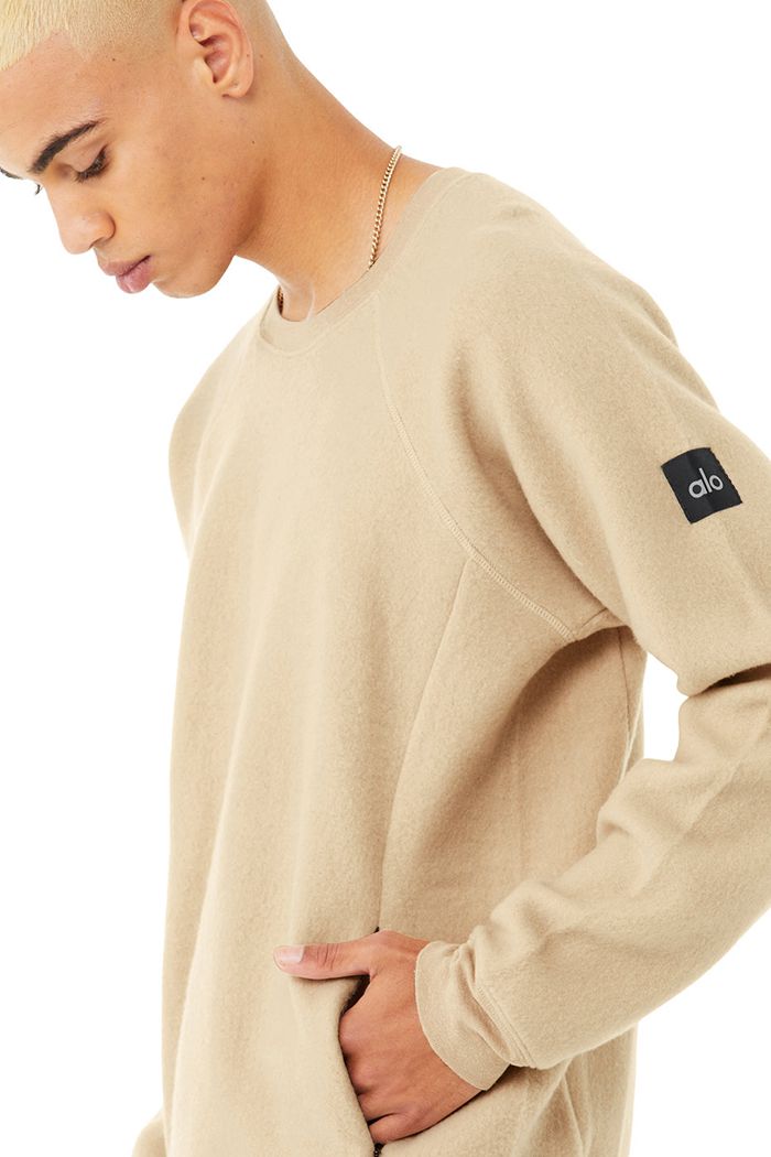 Alo Yoga Triumph Crew Neck Sweatshirt Men's Long Sleeve Brown | 03ENYGKZS