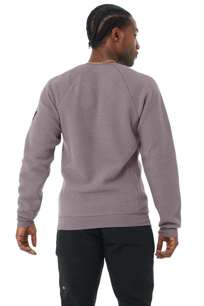 Alo Yoga Triumph Crew Neck Sweatshirt Men's Long Sleeve Purple | 54HNWLTEU