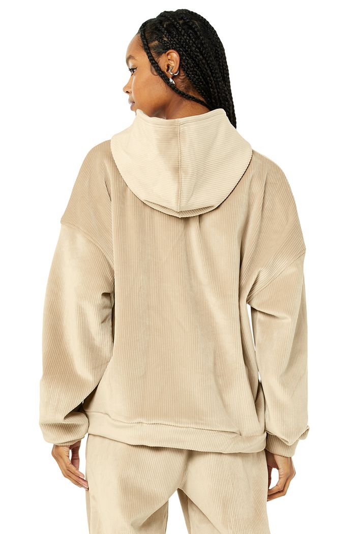 Alo Yoga Velour Baller Women's Hoodie Brown | 69HXSTBKJ