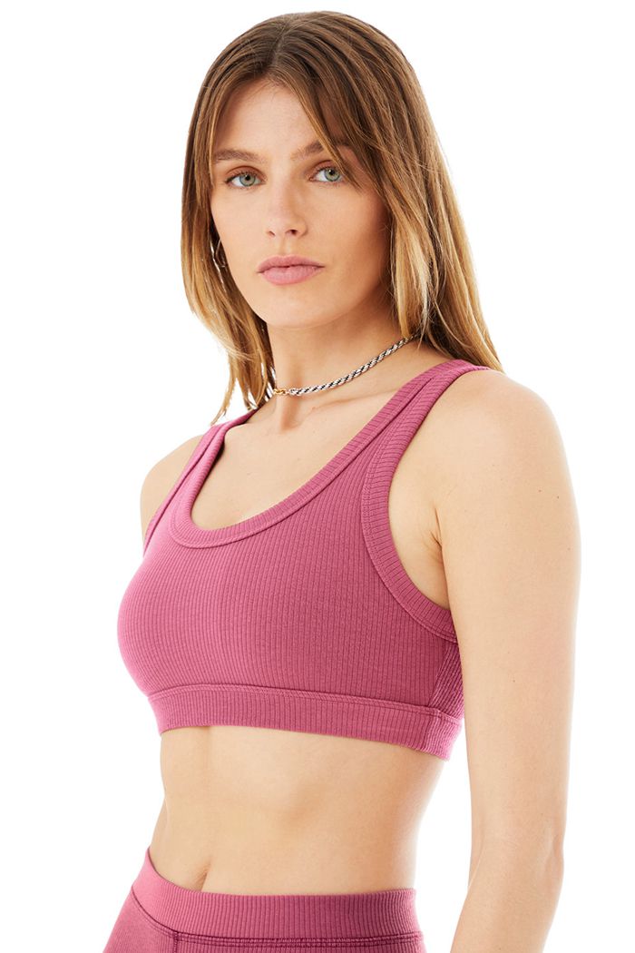 Alo Yoga Wellness Women's Bras Purple | 19LMFZVHR